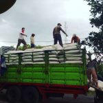 Pakan ternak instan solusi kebutuhan pakan