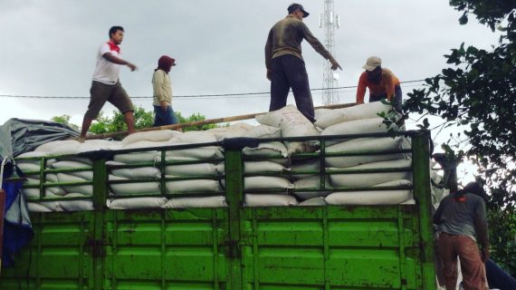 Pakan ternak instan solusi kebutuhan pakan