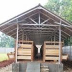 Cara ternak modern pada kambing dan sapi