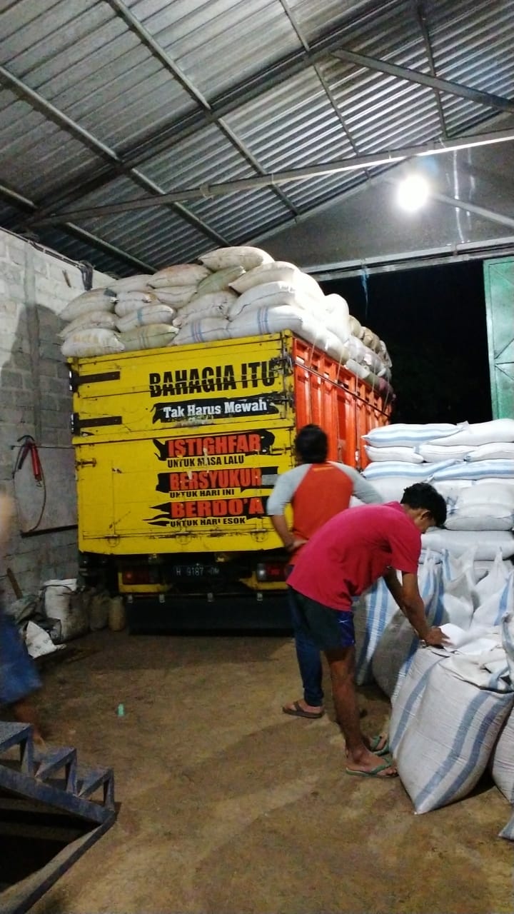 kesalahan pakan domba