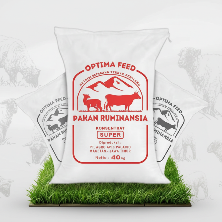 Ransum Pakan Domba