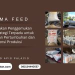 Ransum Pakan Penggemukan Domba: Strategi Terpadu untuk Meningkatkan Pertumbuhan dan Efisiensi Produksi