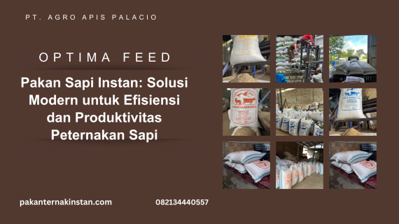 Pakan Sapi Instan: Solusi Modern untuk Efisiensi dan Produktivitas Peternakan Sapi