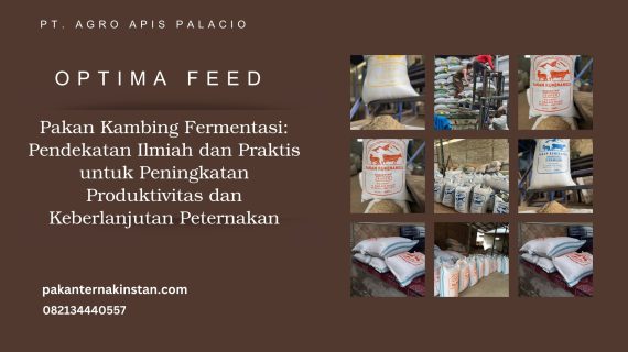 Pakan Kambing Fermentasi Lengkap: Proses, Kandungan Nutrisi, dan Tips Pengelolaan