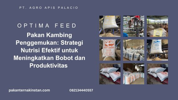 Pakan Kambing Penggemukan: Strategi Nutrisi Efektif untuk Meningkatkan Bobot dan Produktivitas