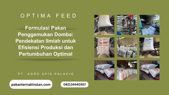 Strategi Formulasi Pakan Penggemukan Domba untuk Pertumbuhan Optimal dan Usaha Berkelanjutan