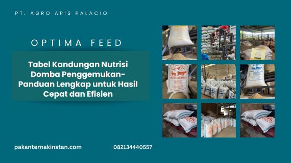 Tabel Kandungan Nutrisi Domba Penggemukan- Panduan Lengkap untuk Hasil Cepat dan Efisien