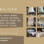Kesalahan Pakan Domba: Analisis Kritis terhadap Praktik Pemberian Pakan dan Dampaknya terhadap Produktivitas Ternak