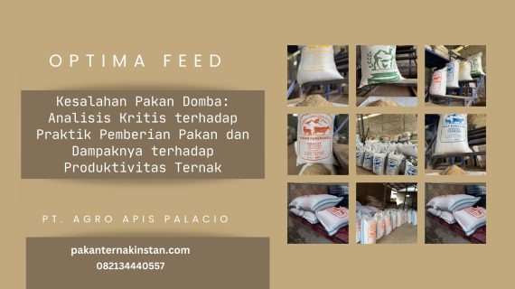 Kesalahan Pakan Domba: Analisis Kritis terhadap Praktik Pemberian Pakan dan Dampaknya terhadap Produktivitas Ternak