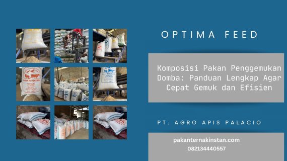Komposisi Pakan Penggemukan Domba: Panduan Lengkap Agar Cepat Gemuk dan Efisien