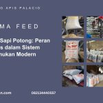 Konsentrat Sapi Potong – Peran Strategis dalam Sistem Penggemukan Modern