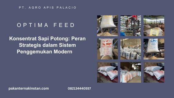 Konsentrat Sapi Potong – Peran Strategis dalam Sistem Penggemukan Modern