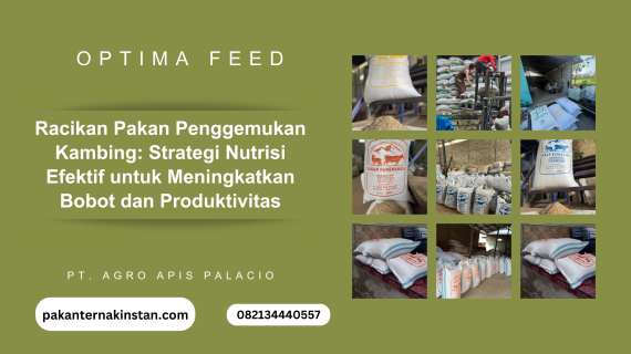 Racikan Pakan Penggemukan Kambing: Strategi Nutrisi Efektif untuk Meningkatkan Bobot dan Produktivitas