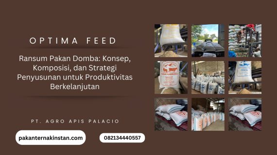 Ransum Pakan Domba- Konsep, Komposisi, dan Strategi Penyusunan untuk Produktivitas Berkelanjutan