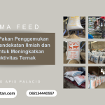 Formulasi Pakan Penggemukan Kambing: Pendekatan Ilmiah dan Praktis untuk Meningkatkan Produktivitas Ternak