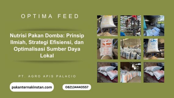 Nutrisi Pakan Domba: Prinsip Ilmiah, Strategi Efisiensi, dan Optimalisasi Sumber Daya Lokal