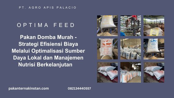Pakan Domba Murah – Strategi Efisiensi Biaya Melalui Optimalisasi Sumber Daya Lokal dan Manajemen Nutrisi Berkelanjutan