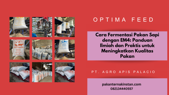 Cara Fermentasi Pakan Sapi dengan EM4: Panduan Ilmiah dan Praktis untuk Meningkatkan Kualitas Pakan
