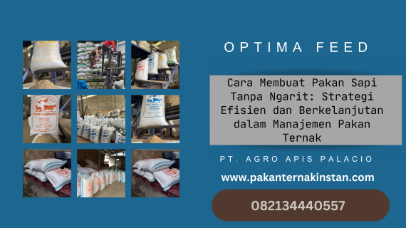 Cara Membuat Pakan Sapi Tanpa Ngarit: Strategi Efisien dan Berkelanjutan dalam Manajemen Pakan Ternak