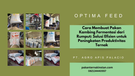 Cara Membuat Pakan Kambing Fermentasi dari Rumput: Solusi Efisien untuk Peningkatan Produktivitas Ternak