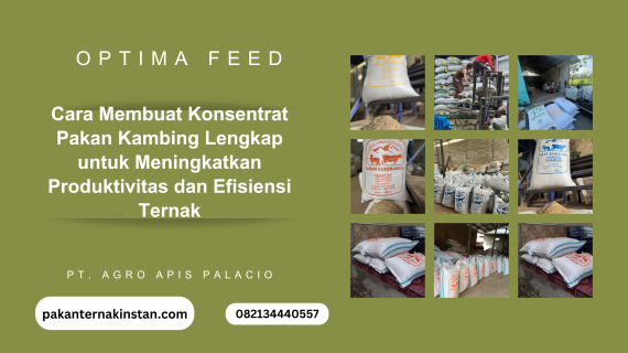 Cara Membuat Konsentrat Pakan Kambing Lengkap untuk Meningkatkan Produktivitas dan Efisiensi Ternak
