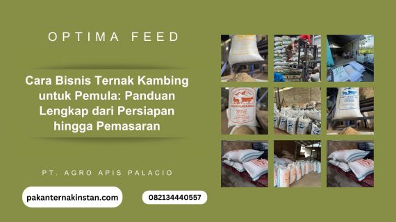 Cara Bisnis Ternak Kambing untuk Pemula: Panduan Lengkap dari Persiapan hingga Pemasaran