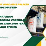 Cara Membuat Pakan Konsentrat Domba: Formulasi Nutrisi, Bahan Baku, dan Teknik Pembuatan yang Efisien